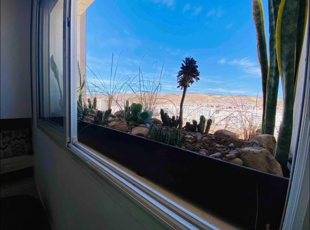 Apartmán Sun Rise Islan Appart Agádír Exteriér fotografie